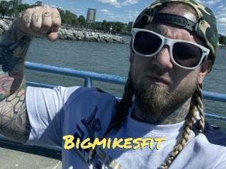 Bigmikesfit