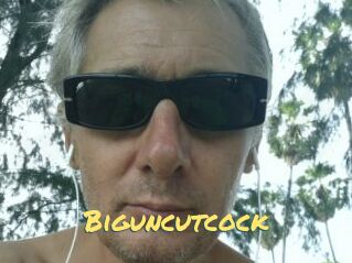 Biguncutcock