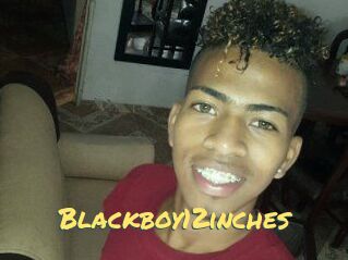 Blackboy12inches