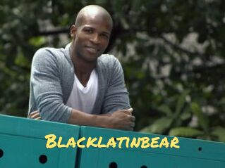 Blacklatinbear
