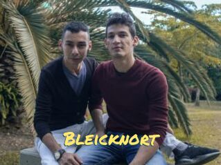 Bleicknort