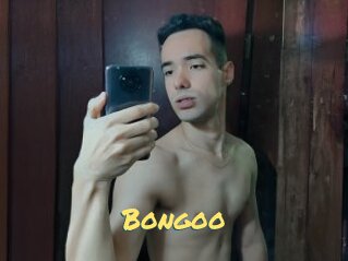 Bongoo