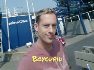 Boycupid
