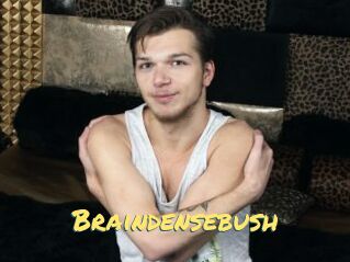 Braindensebush