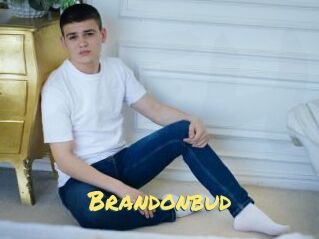 Brandonbud