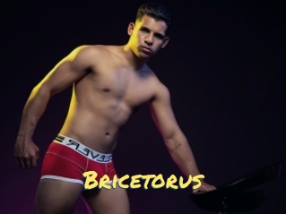 Bricetorus