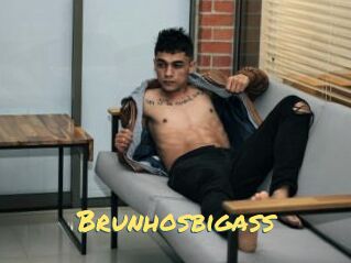 Brunhosbigass