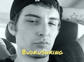 Budkushking