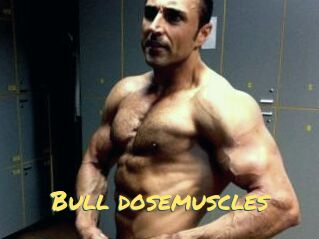 Bull_dosemuscles