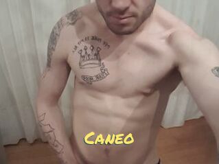 Caneo