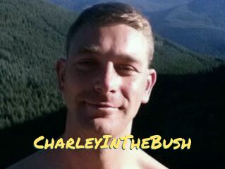 CharleyInTheBush
