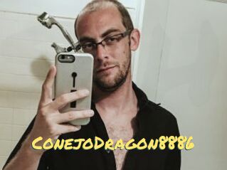 ConejoDragon8886
