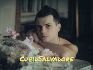 CupidSalvadore