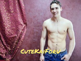 CuteKaiForU