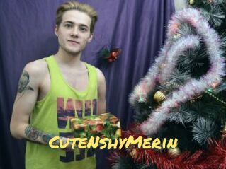 CuteNshyMerin