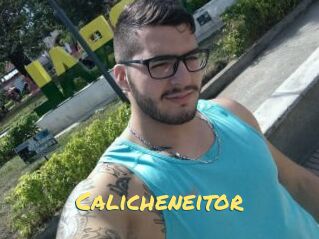 Calicheneitor
