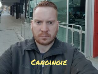 Cangingie
