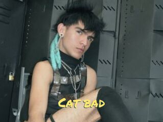 Cat_bad