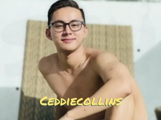 Ceddiecollins