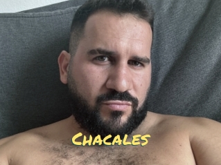 Chacales