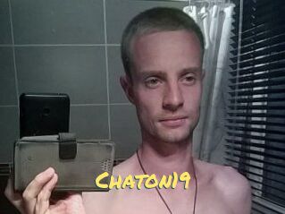 Chaton19