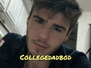 Collegedadbod
