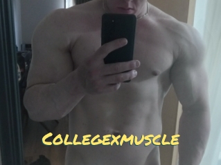 Collegexmuscle