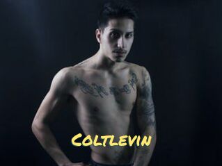 Coltlevin