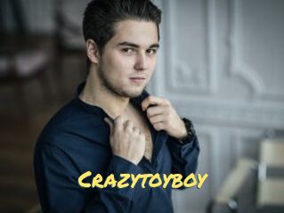 Crazytoyboy