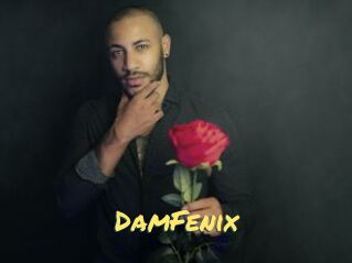 DamFenix