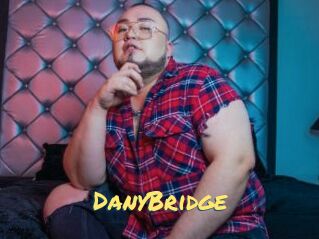 DanyBridge