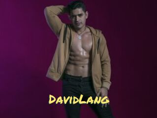 DavidLang