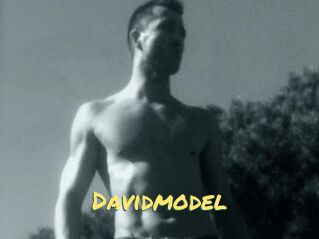 Davidmodel