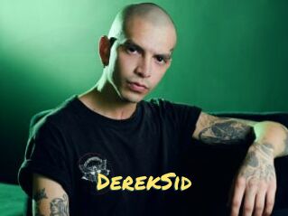 DerekSid