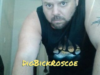 DigBickRoscoe