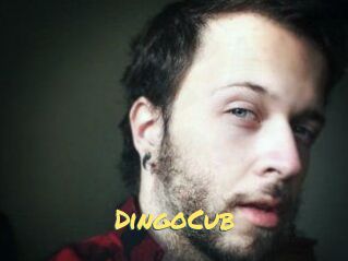 DingoCub