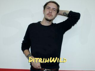 DitrihWild