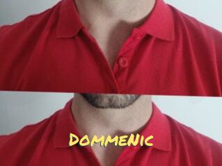 DommeNic