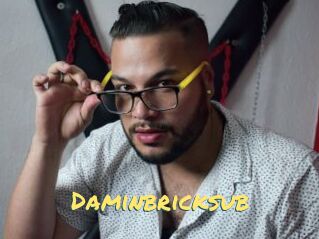 Daminbricksub