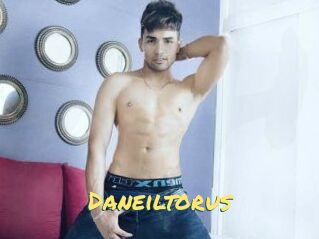 Daneil_torus