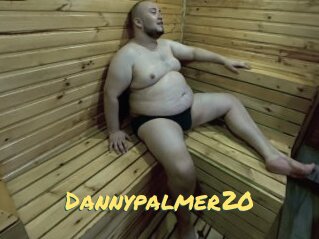 Dannypalmer20