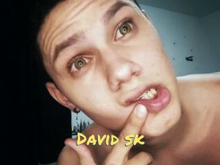 David_sk