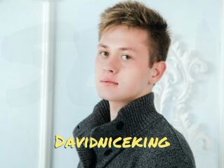 Davidniceking