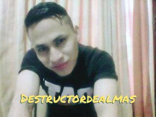 Destructordealmas