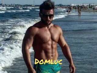 Domluc