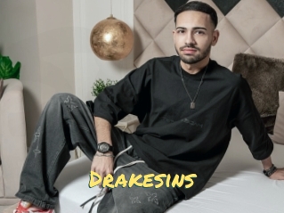 Drakesins
