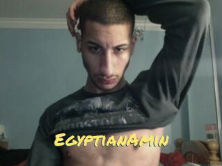 EgyptianAmin