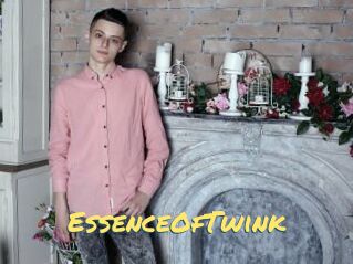 EssenceOfTwink