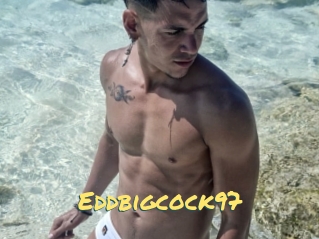 Eddbigcock97