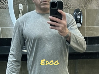 Edog
